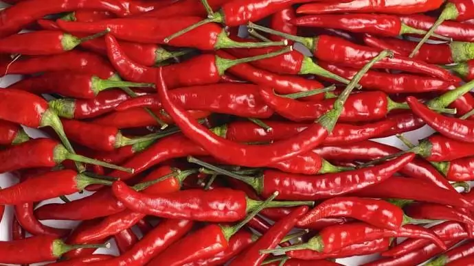 Éretlenül is értékes – Az új ciklusban jelentős támogatás jut a paprikatermesztőknek