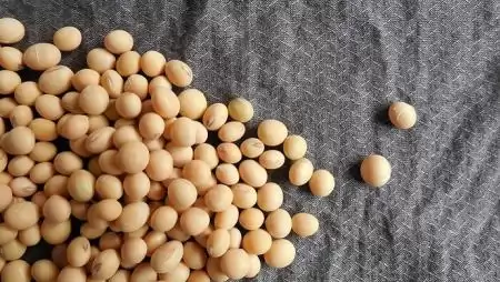 Folytatódik a KARINTIA Szója Road Show