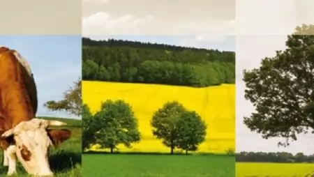  „Ökológiai gazdálkodásra történő áttérés, ökológiai gazdálkodás fenntartása” pályázat – (VP-4-11.1.-11.2.-15 kódszámú)