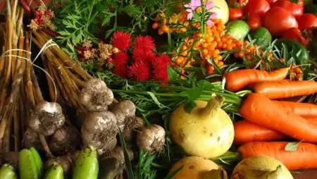 FM: az idén 12 magyar kiállító mutatta be termékeit a BIOFACH szakkiállításon 
