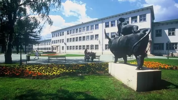 Két egyetemi képzés indul ősztől Kisvárdán