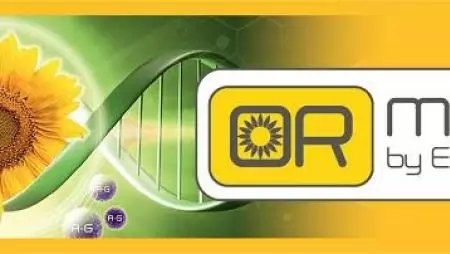 OR MASTER®: TÖKÉLETES MEGOLDÁSOK SZÁDOR ELLEN