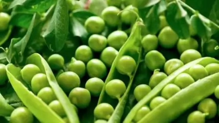 Syngenta: nem várható élénkülés idén a konzerv és fagyasztott zöldség szektorban