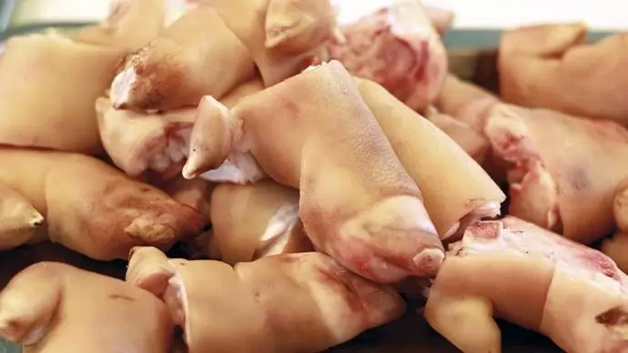 Szigorított disznótorok - A trichinella nevű parazita a nyers húsban jelent kockázatot