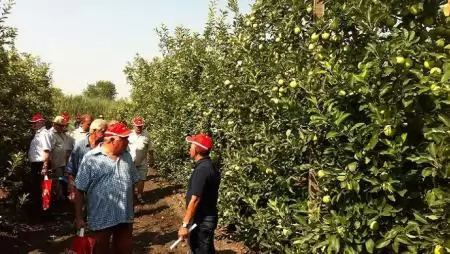 Fókuszban az egészséges alma! – DuPont™ Fontelis® gombaölő szer