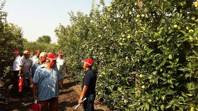 Fókuszban az egészséges alma! – DuPont™ Fontelis® gombaölő szer