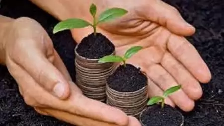 Tevékeny közösségek pályázatát várja az Élelmiszerlavina program