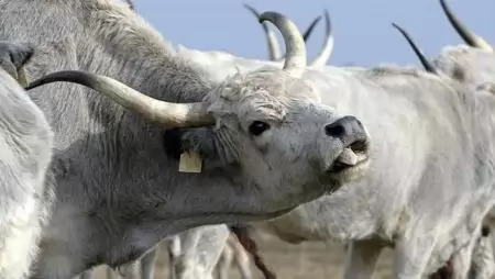 Aktuális pályázatok és támogatások