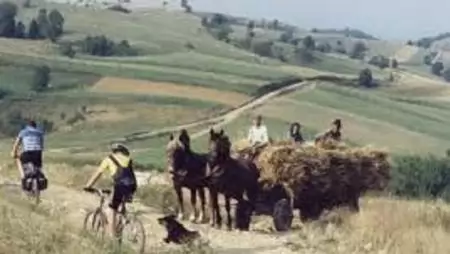 Kiírták a vajdasági gazdaságfejlesztési támogatások első pályázatait