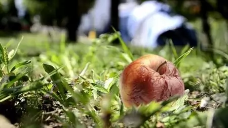 Miért érdemes stabilizálni a növények táplálkozási rendszerét?