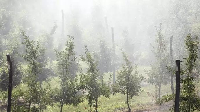 A melléklet rejti a lényeget – Öntözött ültetvény kiépítésére tizenkilencmilliárd fordítható