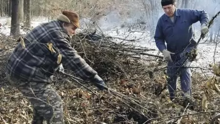 Közmunka a magánerdőkben