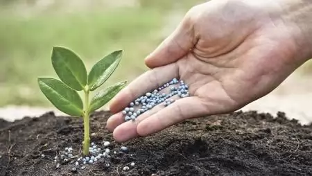 Szakértelem és partnerség – YIELD SERVICE szolgáltatás a Timac AGRO-tól