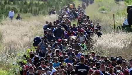  Százmilliót szán a kormány a migránsok okozta mezőgazdasági károk kompenzálására