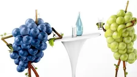Bayer Szőlő szimpózium 2016