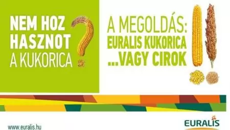 Magasabb fokozatba váltott az EURALIS