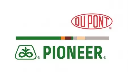 Pioneer -Talajhőmérséklet előrejelzés