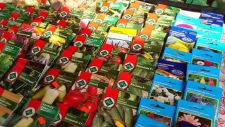 Idén is lesz kukorica posztregisztrációs fajtakísérlet