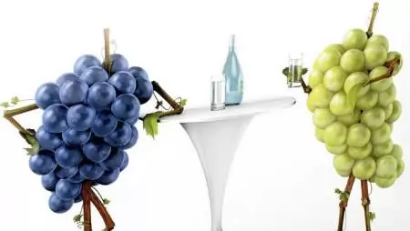 Luna termékcsalád a szőlőben – Bayer-szőlő szimpózium Egerben