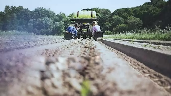 Az agrárszektor gazdálkodói felé nyit az Erste – A mezőgazdaság szezonalitásához alakítja termékeit