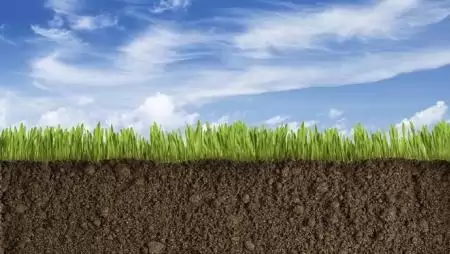 Fókuszban a magnézium – K+S KALI-konferencia a tápelemekről