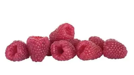 Családban marad a szerencse – Hiányolja a hatékonyságot és a képzett munkaerőt Fülöp Gáborné