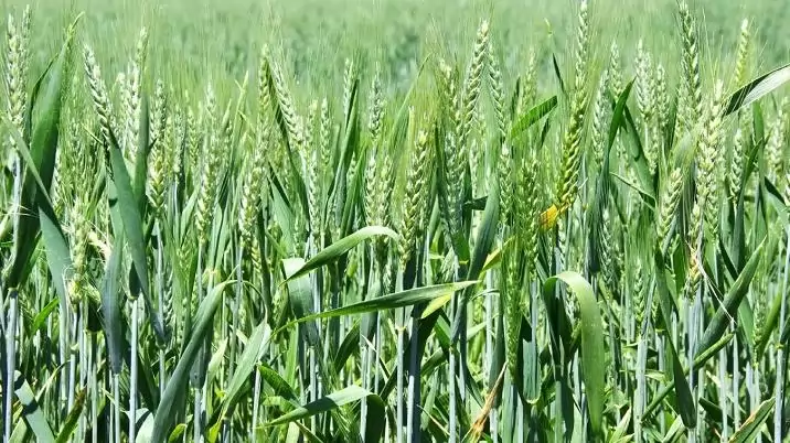 A megtérülő befektetés…