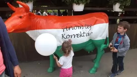 Szakadékba zuhant tejárak