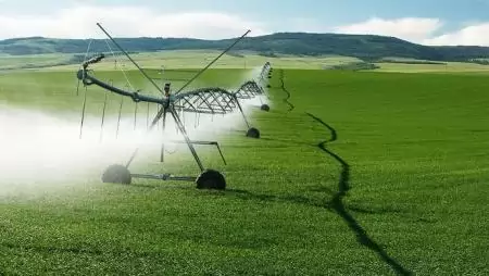 Az agrárkamara sürgős megoldást szorgalmaz az öntözés problémáira