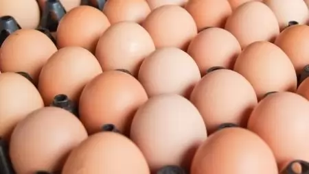 Magyarként akarták eladni a jelöletlen lengyel tojást