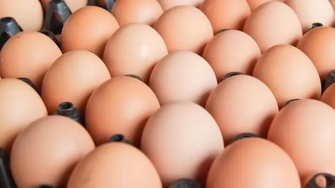 Magyarként akarták eladni a jelöletlen lengyel tojást