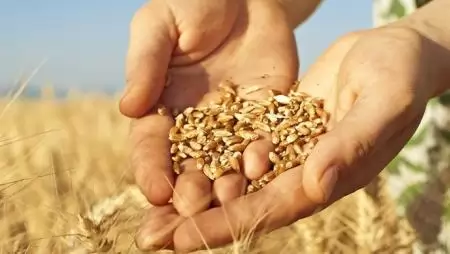 A vetőmag szövetség is csatlakozott a Közösségi Agrármarketing Kódexhez