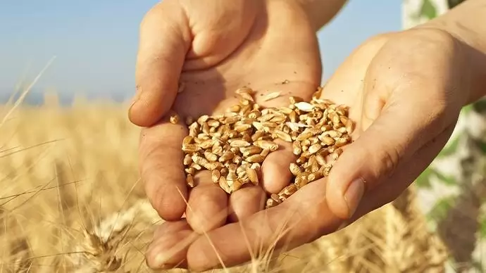 A vetőmag szövetség is csatlakozott a Közösségi Agrármarketing Kódexhez