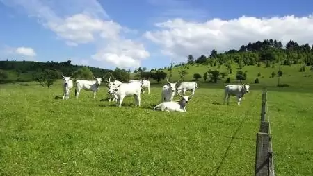 A vidékfejlesztési program jelentős lökést adhat az agrárberuházásoknak