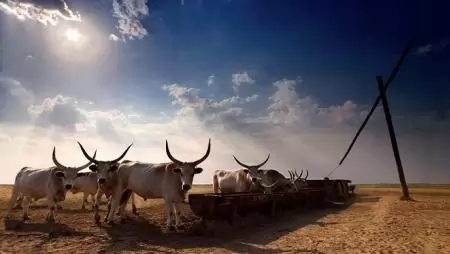 Stratégiai megállapodás jött létre a vidék felemelkedéséért