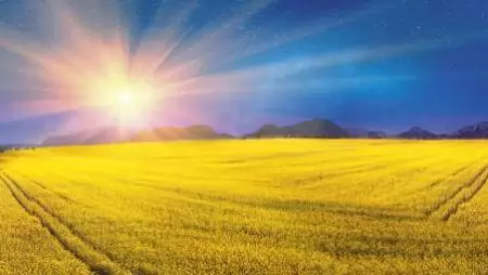 Március végi-április eleji növényvédelmi helyzetkép – Áldott tavasz, áldatlan károsítók