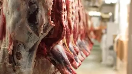 Nőtt a vágóhídi hústermelés – Alacsony áron tudták értékesíteni a termelők a vágóállatokat