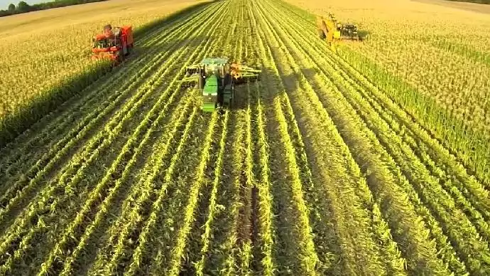 Erősödött az agrárgazdaság Magyarországon