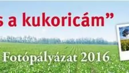 Én és a kukoricám – DuPont Fotópályázat 2016