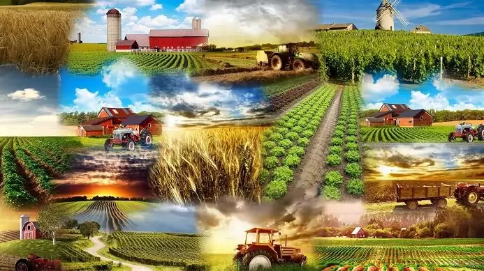 Több mint 175 ezer gazdálkodó nyújtotta be a határidőig az egységes kérelmét 