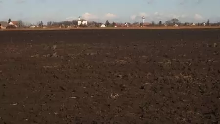 Folytatódnak a földárverések Csongrád megyében