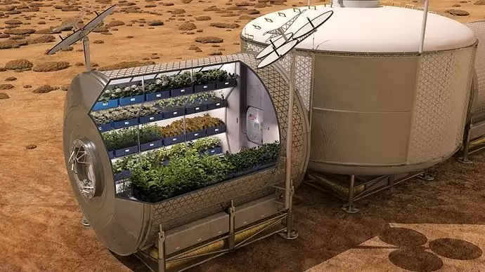 Növénygyár-tervek NASA kutatás alapján