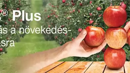 Okos tippek almatermesztőknek