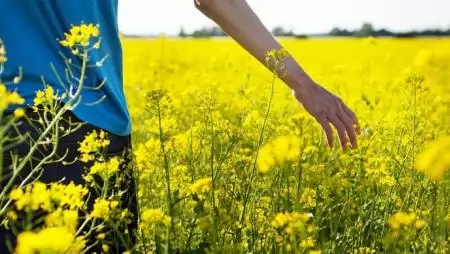 Megtörhet a (gazok) gyomok ellenállása – új gyomrezisztencia kutatás