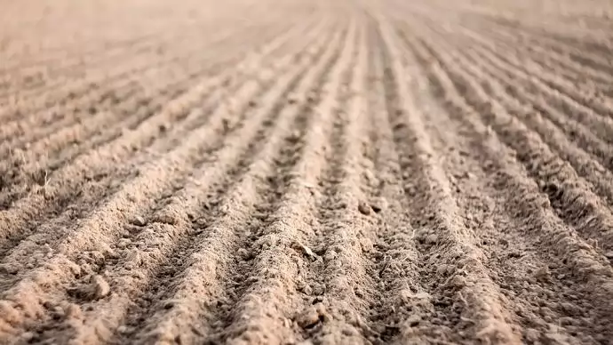 Az agrárium számára kedvező törvénymódosításokat fogatott el az Országgyűlés