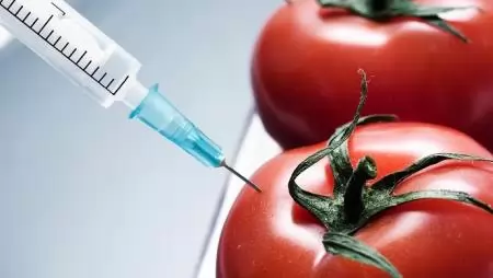Kiemelkedő érdek a mezőgazdaság GMO-mentességének megőrzése