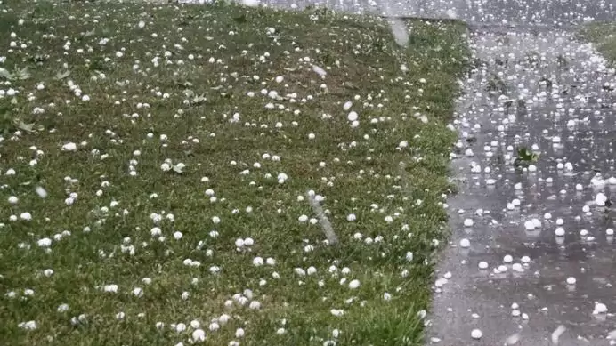 Jelentős károk érték a mezőgazdaságot az esőzések és a jég miatt Békésben