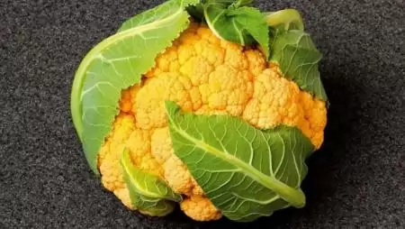 A Syngenta sárga karfiolja