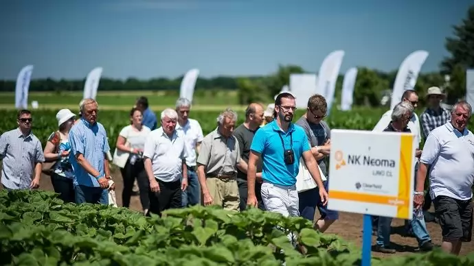 Most kell nagyon figyelni a szántóföldi növényekre