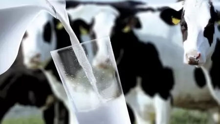 A magyar tej versenyképes, a világpiaci túlkínálat okoz gondot